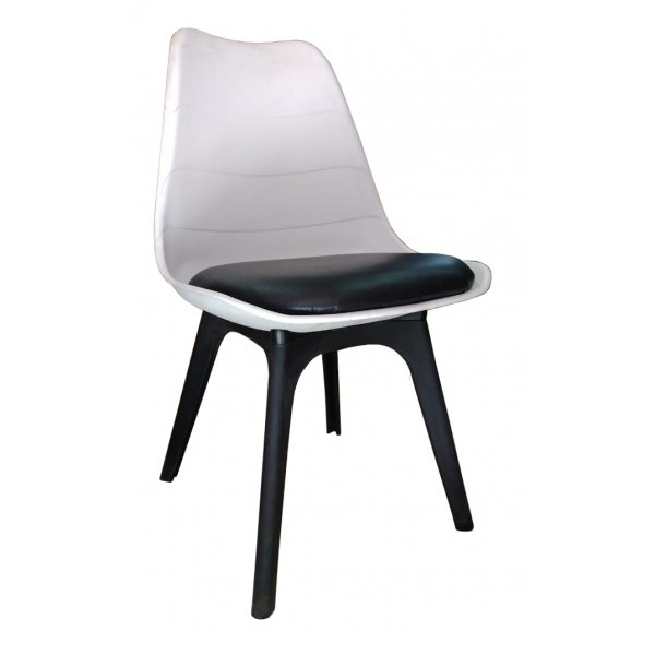 Plastic Dinning Chair with Plastic Legs